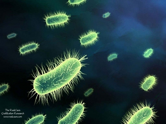 envases metálicos que matan bacterias